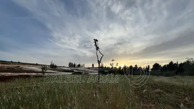 أرض - بلعاس - يبعد 6 دقائق عن طريق المطار - 185000 دأ